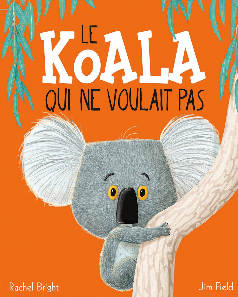 Koala sport offerte hot sale