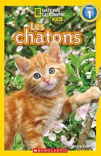 Front cover_National Geographic Kids : Les chatons (niveau 1)