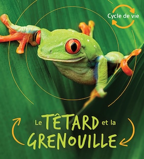 Front cover_Cycle De Vie : Le Têtard Et La Grenouille