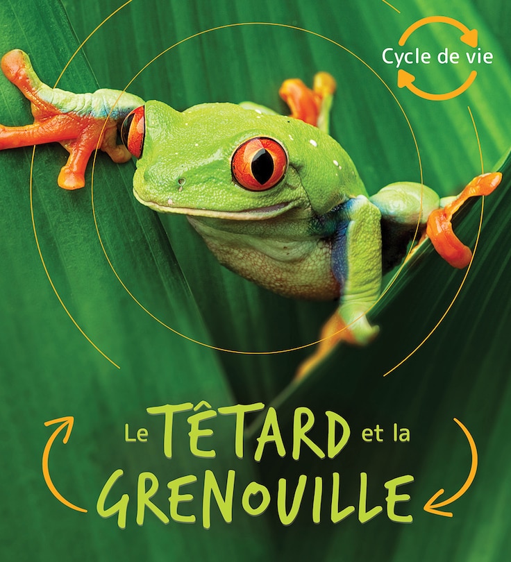 Front cover_Cycle De Vie : Le Têtard Et La Grenouille