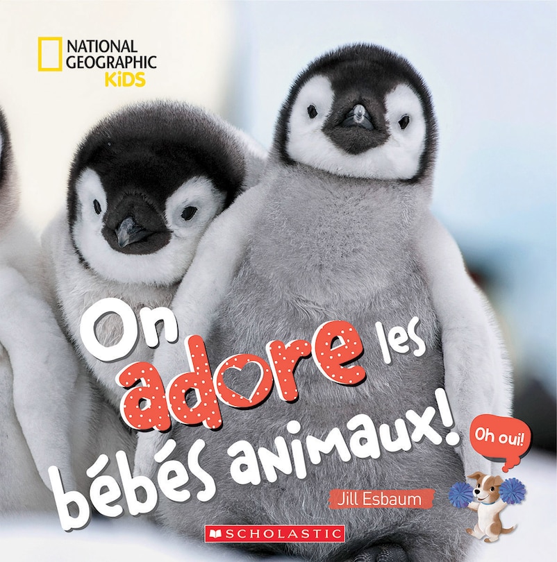 On adore les bébés animaux!