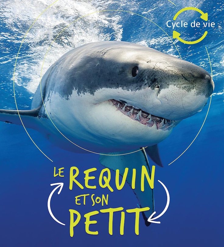 Couverture_Cycle de vie : Le requin et son petit