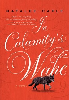 Couverture_In Calamity's Wake