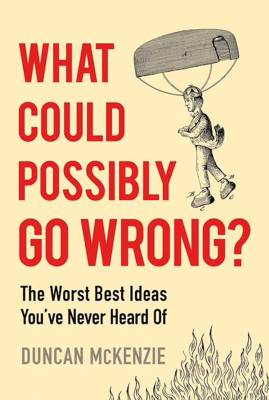 Front cover_What Could Possibly Go Wrong?