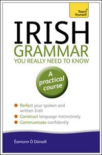 Front cover_Irish Grammar You Really Need to Know