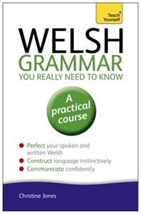 Front cover_Welsh Grammar You Really Need To Know