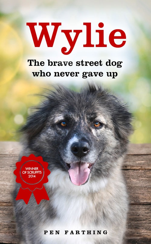 Front cover_Wylie: The Brave Street Dog Who Never Gave Up