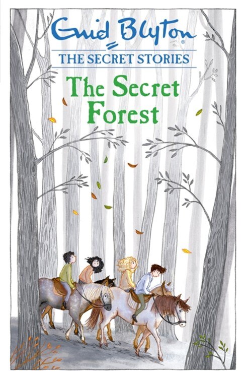 Front cover_Secret Stories: The Secret Forest