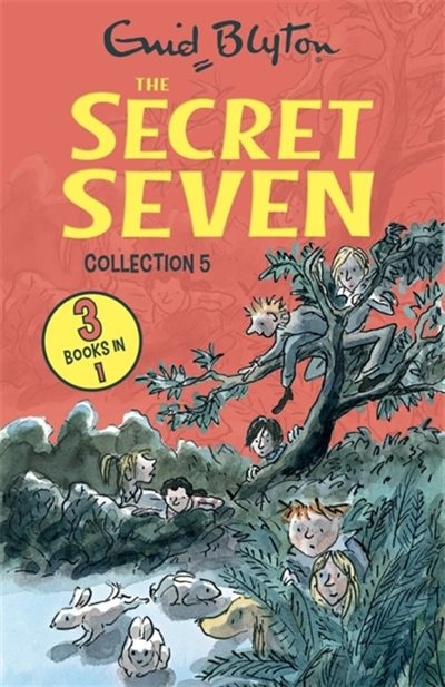 Front cover_The Secret Seven Collection 5