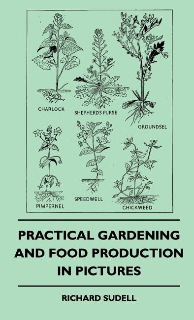 Front cover_Practical Gardening And Food Production In Pictures