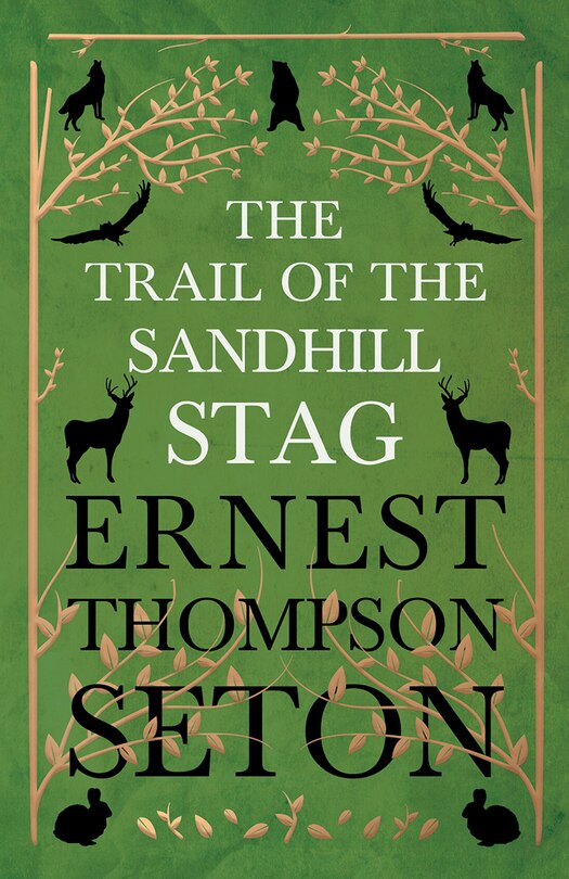 Front cover_The Trail Of The Sandhill Stag