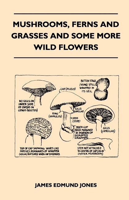 Couverture_Mushrooms, Ferns And Grasses And Some More Wild Flowers