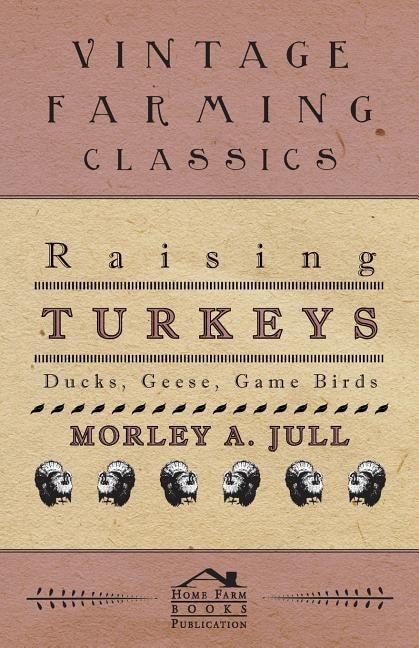 Couverture_Raising Turkeys - Ducks, Geese, Game Birds