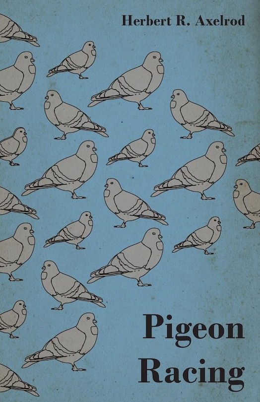 Couverture_Pigeon Racing