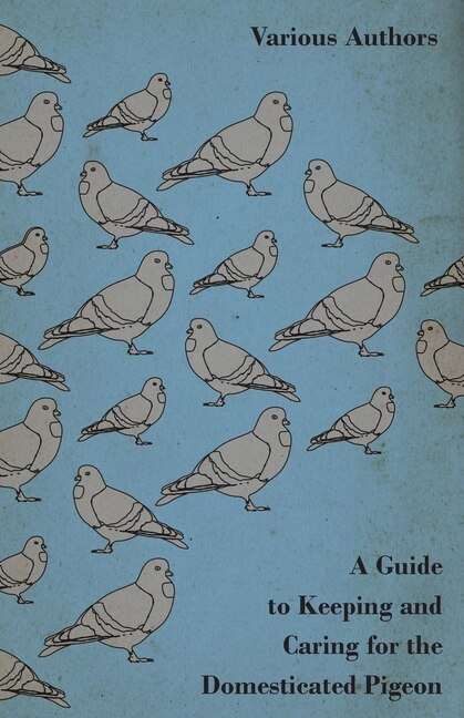 Front cover_A Guide to Keeping and Caring for the Domesticated Pigeon