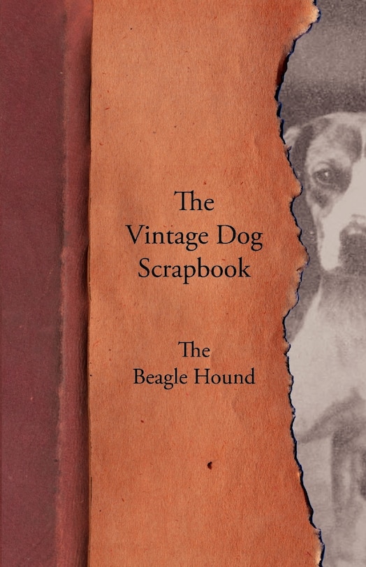 Front cover_The Vintage Dog Scrapbook - The Beagle Hound