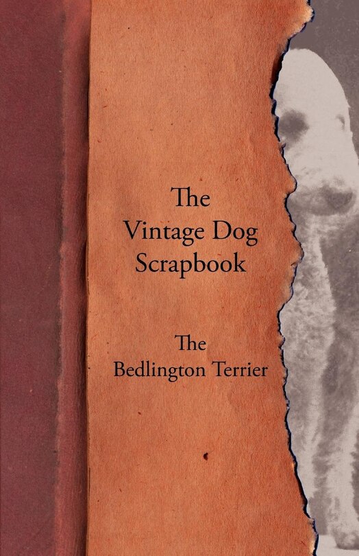 Couverture_The Vintage Dog Scrapbook - The Bedlington Terrier