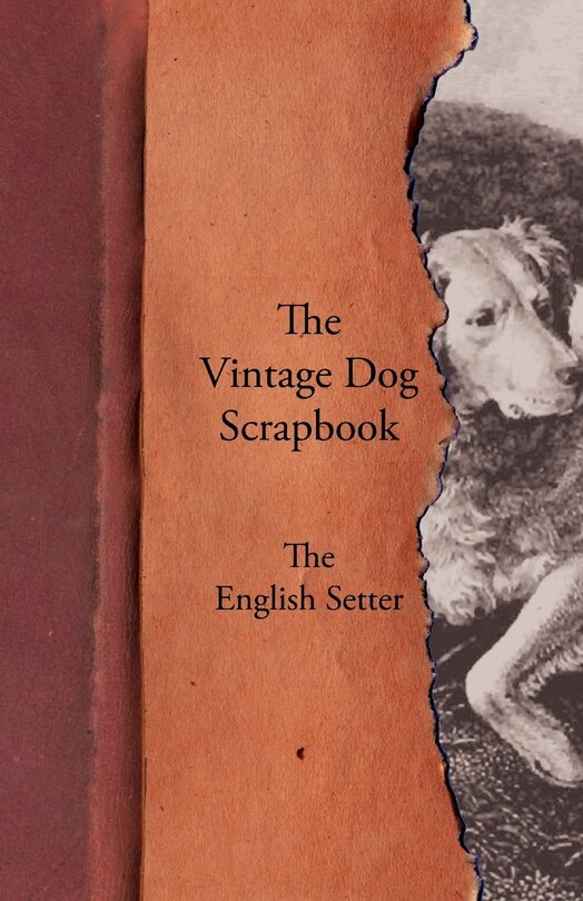 Front cover_The Vintage Dog Scrapbook - The English Setter