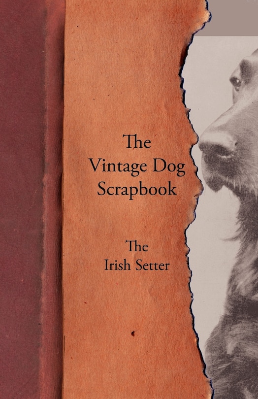 Couverture_The Vintage Dog Scrapbook - The Irish Setter