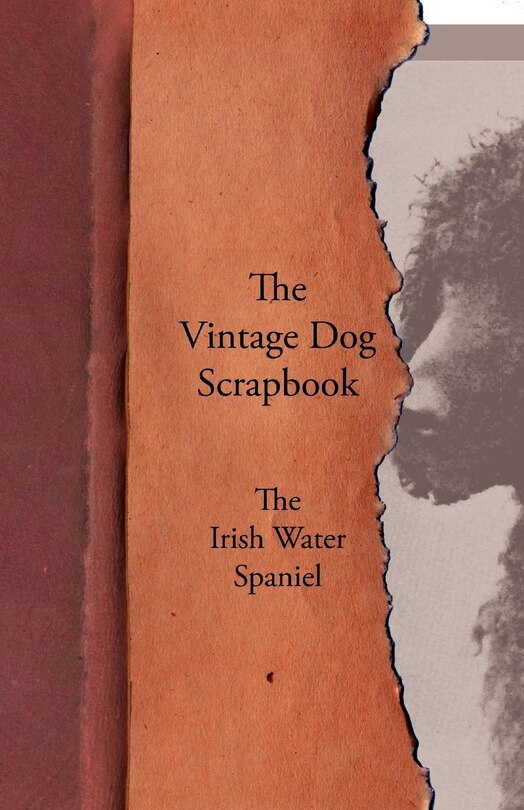Front cover_The Vintage Dog Scrapbook - The Irish Water Spaniel