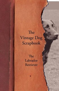 Front cover_The Vintage Dog Scrapbook - The Labrador Retriever