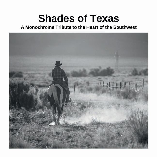 Couverture_Shades of Texas