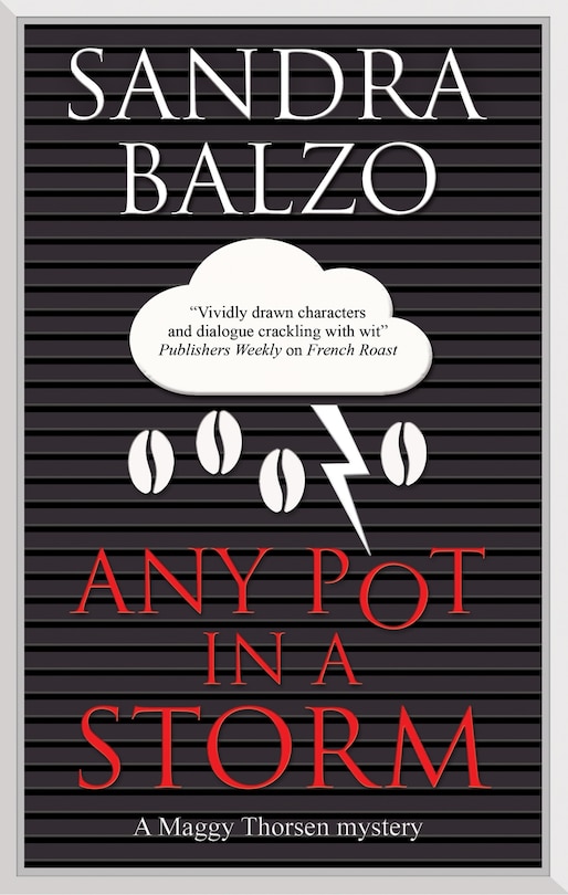 Front cover_Any Pot in a Storm