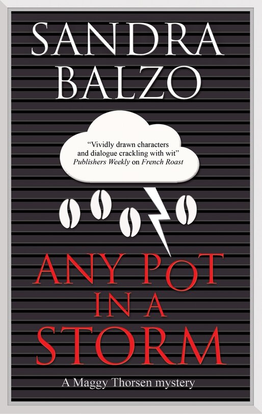 Front cover_Any Pot in a Storm