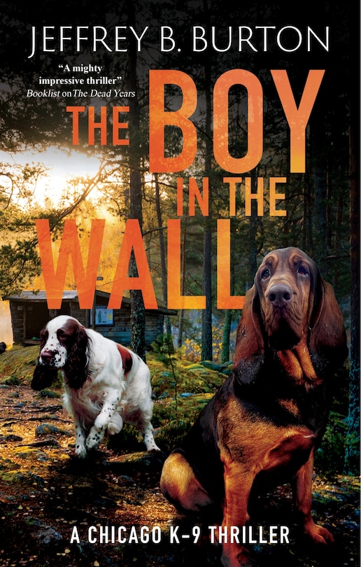 Front cover_The Boy in the Wall
