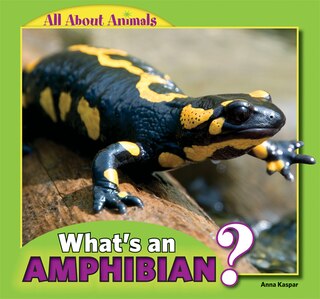 Front cover_What's an Amphibian?