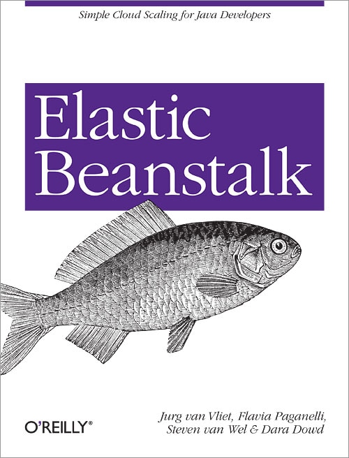 Couverture_Elastic Beanstalk