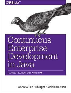 Couverture_Continuous Enterprise Development In Java