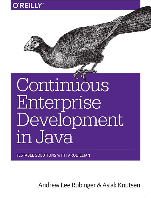 Couverture_Continuous Enterprise Development In Java