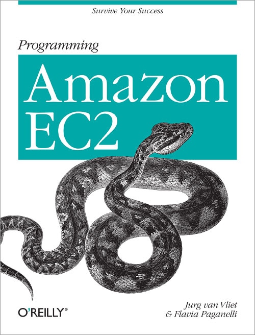 Front cover_Programming Amazon Ec2