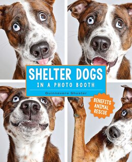 Front cover_Shelter Dogs in a Photo Booth