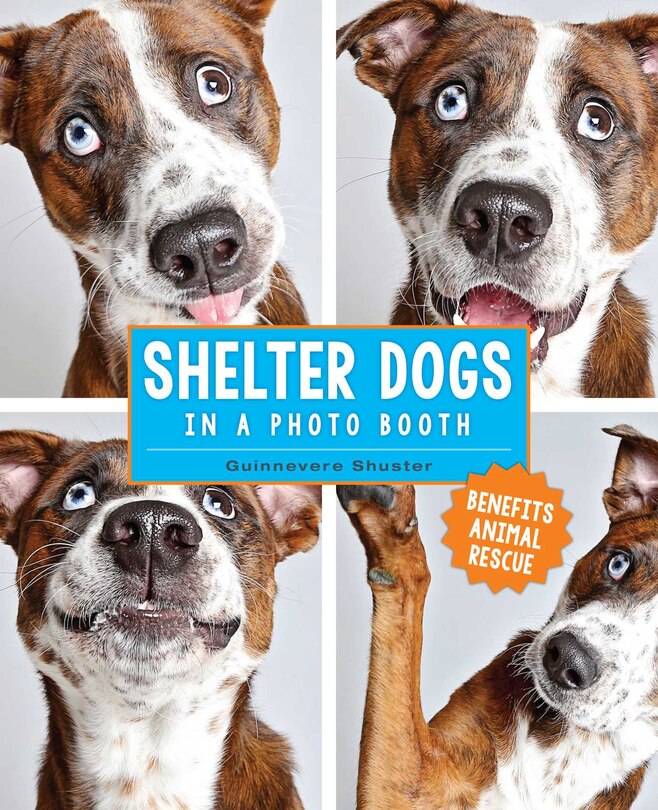 Front cover_Shelter Dogs in a Photo Booth