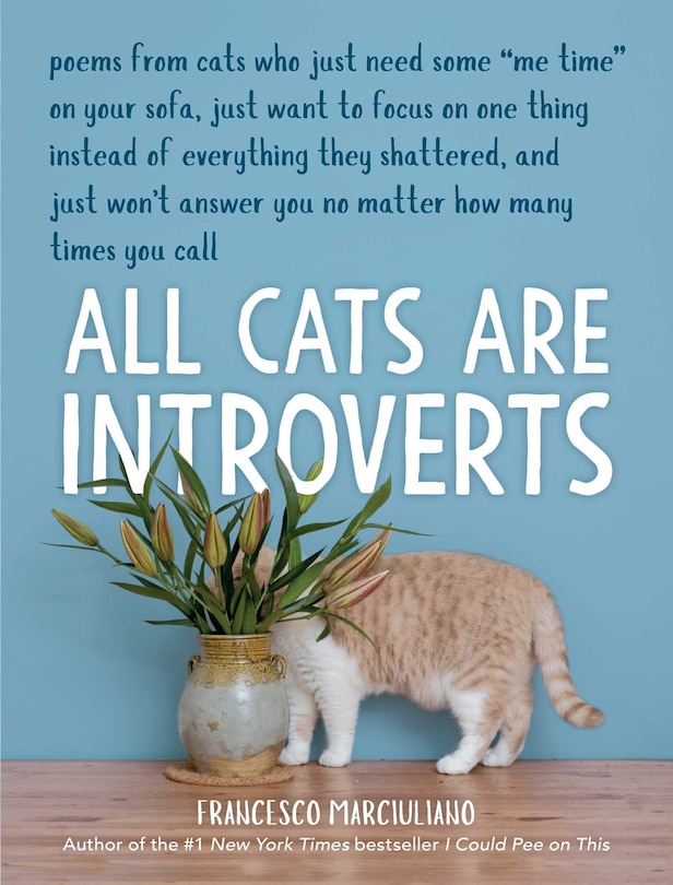 Front cover_All Cats Are Introverts