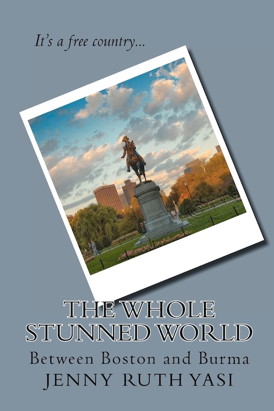 Couverture_The Whole Stunned World