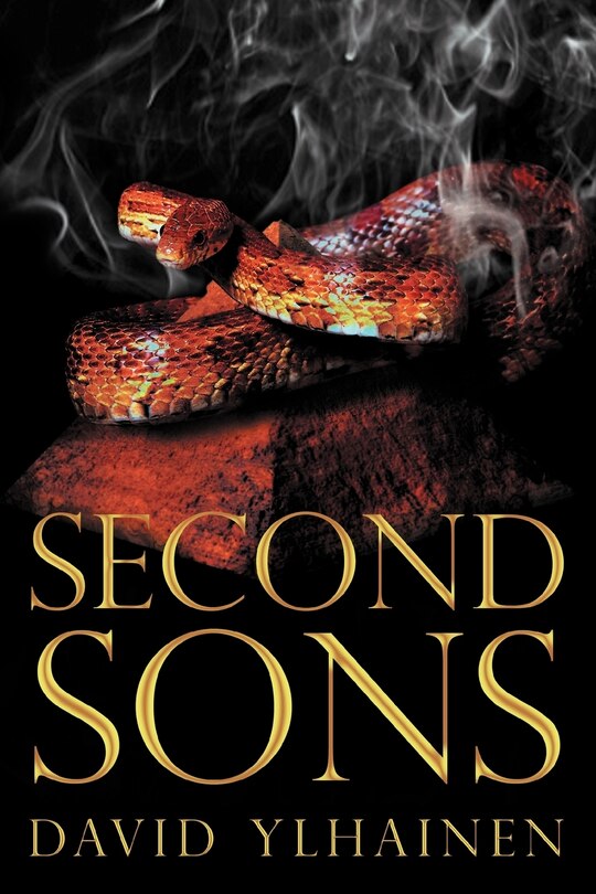 Couverture_Second Sons