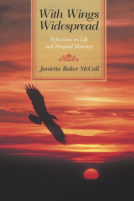 Front cover_With Wings Widespread