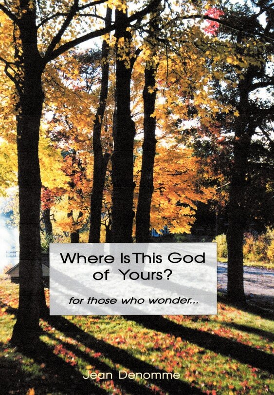 Couverture_Where Is This God Of Yours?