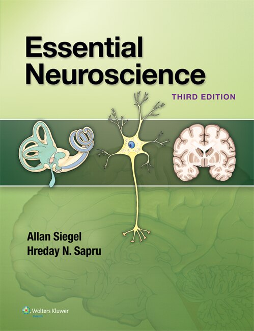 Front cover_Essential Neuroscience
