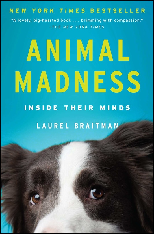 Front cover_Animal Madness