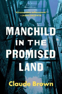 Front cover_Manchild in the Promised Land