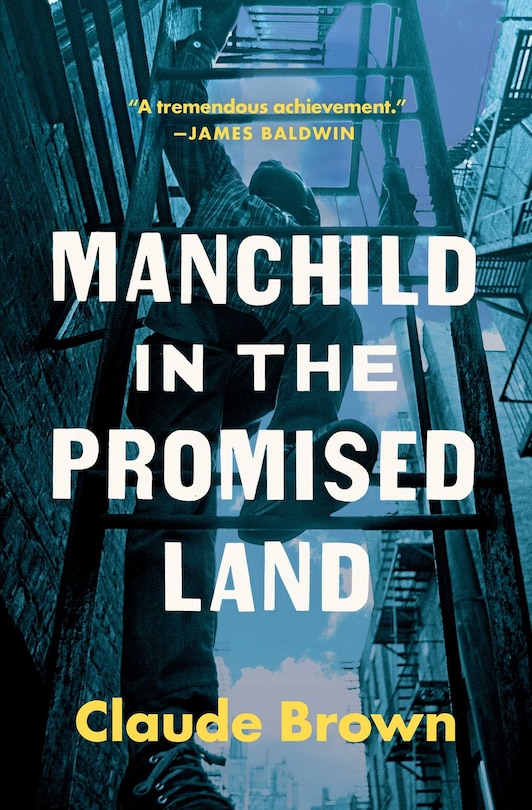 Front cover_Manchild in the Promised Land
