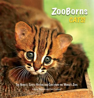 Front cover_ZooBorns Cats!