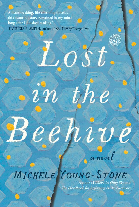 Front cover_Lost in the Beehive