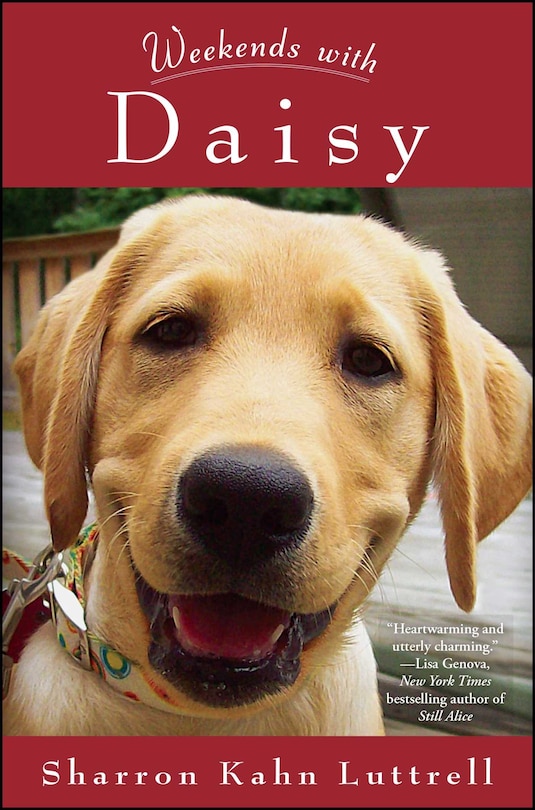 Front cover_Weekends with Daisy