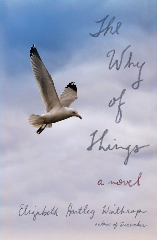 Couverture_The Why Of Things