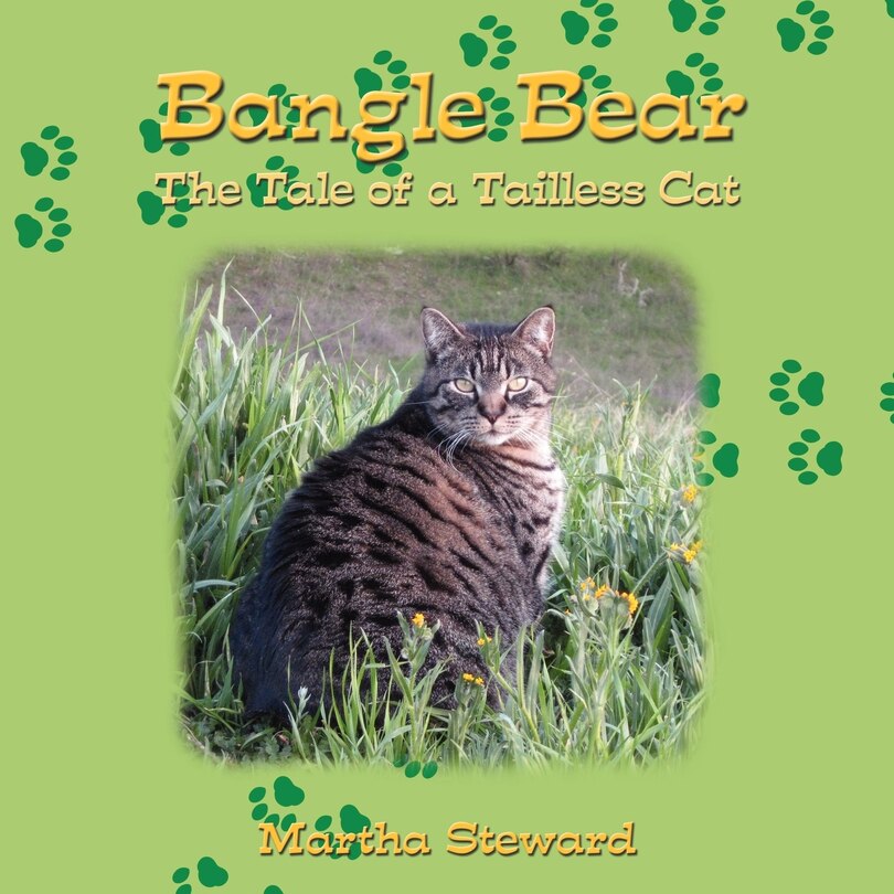 Front cover_Bangle Bear